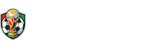 阿根廷队直播